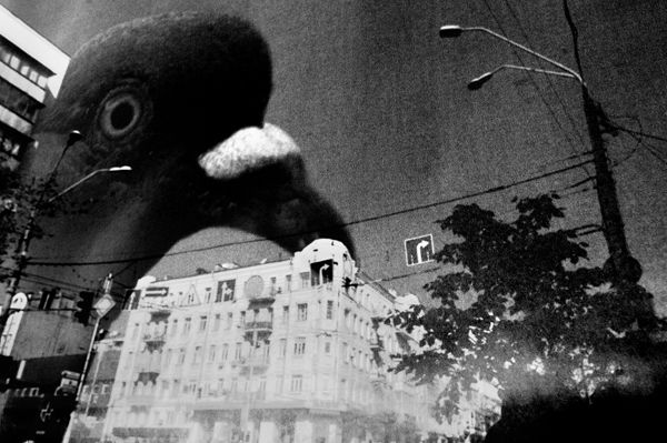 "З'їдене місто" Олександра Ляпіна